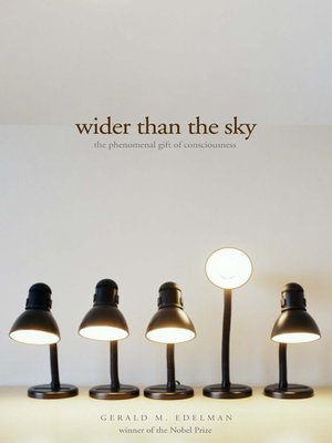cover image of Wider than the Sky